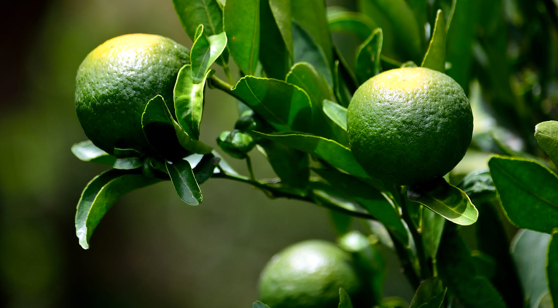 欧博abg - 官方网站登录入口